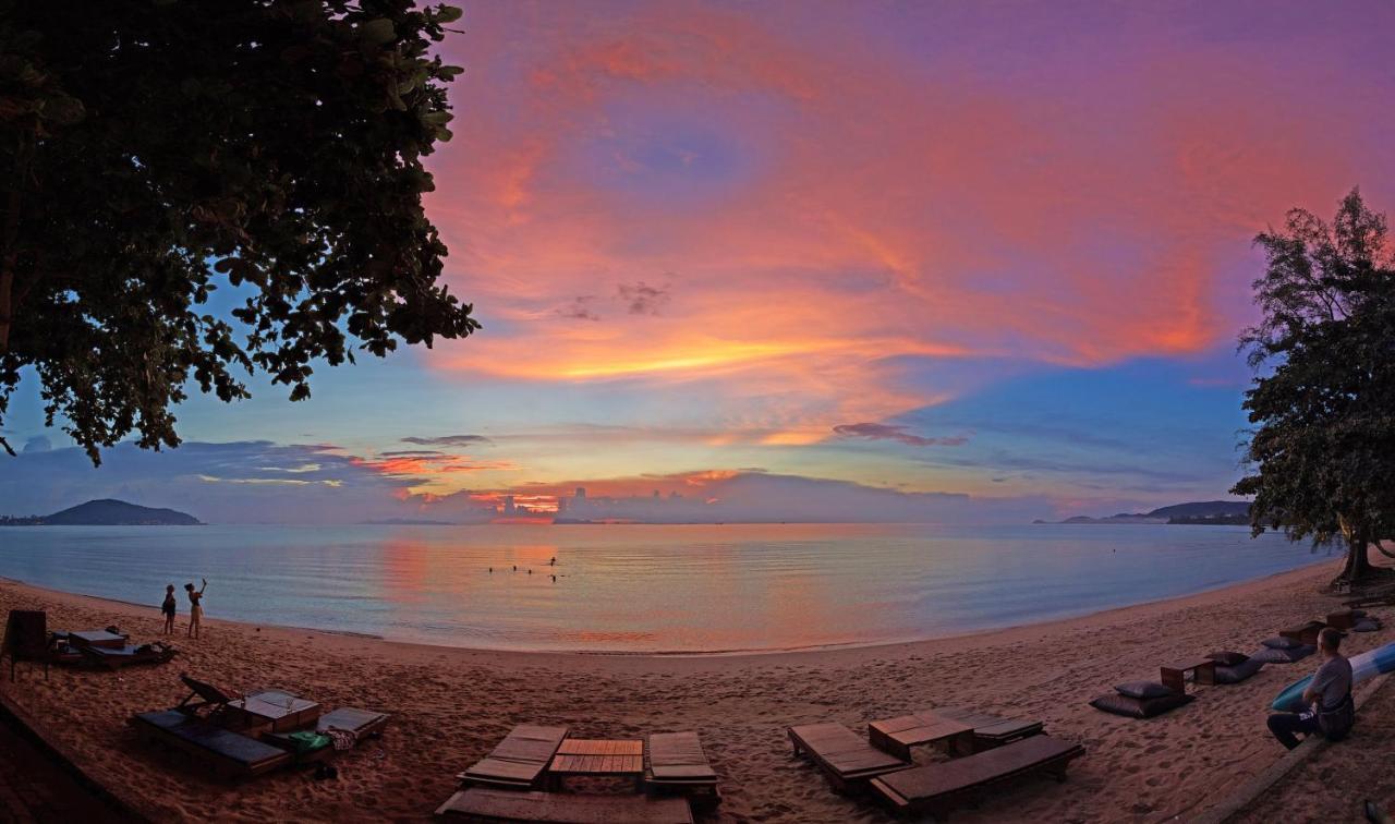 Satva Samui Yoga And Wellness Resort 苏梅岛 外观 照片